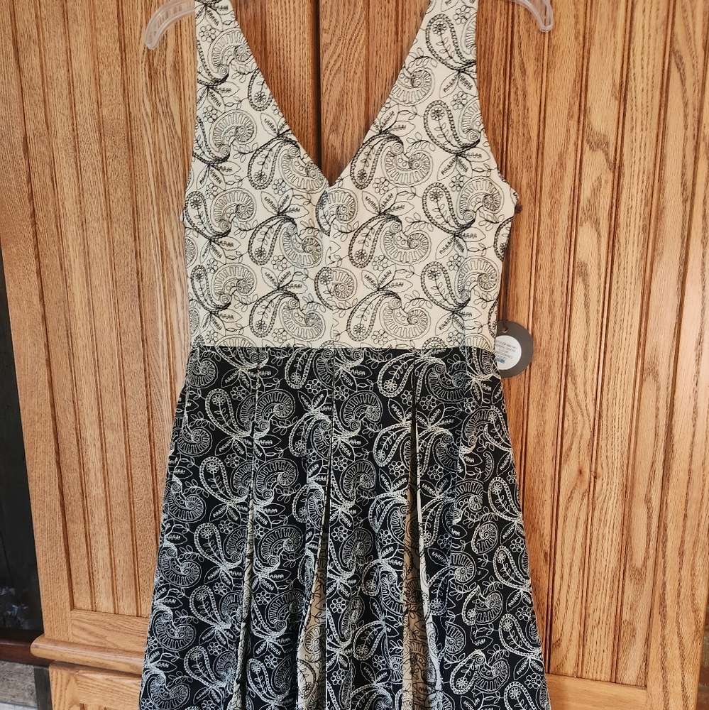 NWT Eva Franco Abagail Dress Size 12 Pleated and Embroidered